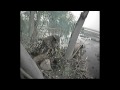 hibou,espagne,20