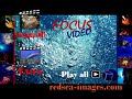 Baletta amici sub adBaletta amici sub ad HURGHADA HURGHADA 3 Baletta amici sub adBaletta amici sub ad HURGHADA HURGHADA 3