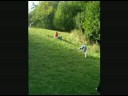 Rolling down from Herkules