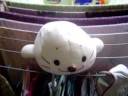 Seal Chen Intro(fast whee)