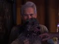 Doggie Emotional Freedom Technique