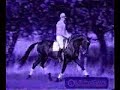 Equestrian Music Video
