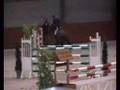 Equestrian Music Video