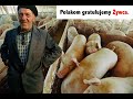 Smieszne Zdjecia Smieszne Zdjecia