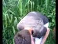 videos de Ellis Marshall and His Trolley II
