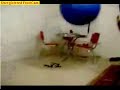 Kid Gets Owned Doing Exercise Kid Gets Owned Doing Exercise