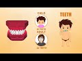Learn about Human Body Parts For Kids - TEETH