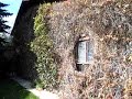 The Front Yard