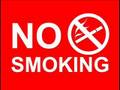 No SmokinG 2008 - MC Arkie
