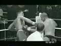 Peter aerts- kickboxer/taekwondo