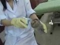 Korean cockroach Beauty Mask Facial