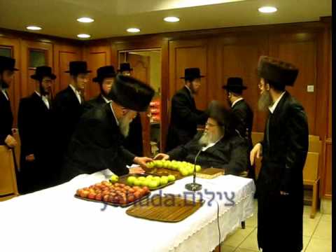Belz Rebbe Throwing Apples @ Chassanim Tu B'shvat 5770 Belz Rebbe Throwing Apples @ Chassanim Tu B'shvat 5770