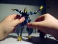 videos de animated swoop