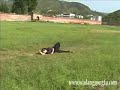 wudang drunken form (performer Sam)
