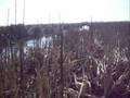 Laguna de Rocha 20/7/2008