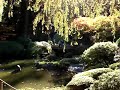 zen-transitions.html
