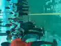conci�ncia negra(comboni)samb�o