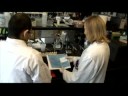 CLINICAL_TRIALS_PUTTING_PEOPLE.wmv CLINICAL_TRIALS_PUTTING_PEOPLE.wmv