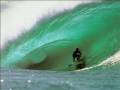 OS TARADINHOS - PASSINHO DO SURFISTA