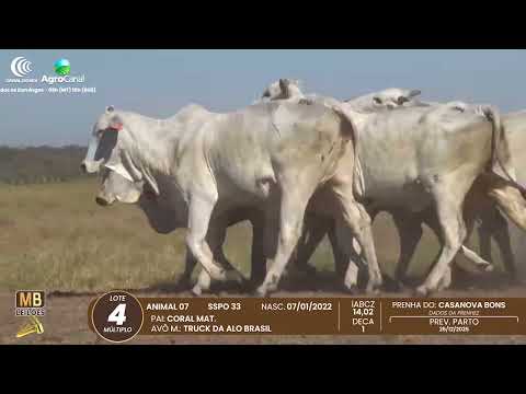 510� LEIL�O VIRTUAL MB LEIL�ES