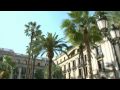 Video ansehen