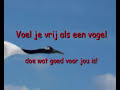 Een impressie van Biodanza