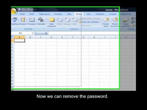 how to remove excel password 2007