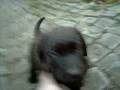 Picture 1772_Archos_.avi