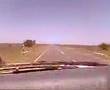 karoo and shins