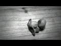 EXCELLENT CLAYMATION PHONE CALL