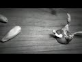 EXCELLENT CLAYMATION PHONE CALL
