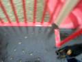 Keefer, the Dachshund on Slide!!