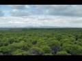 Canción del viento-Pedro Vargas