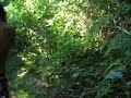 Trilha do Release Parte 1 - Trindade