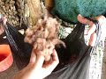 Documentario: las mujeres de el lago Atitlán