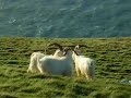 Llandudno - Ormes & Bay views
