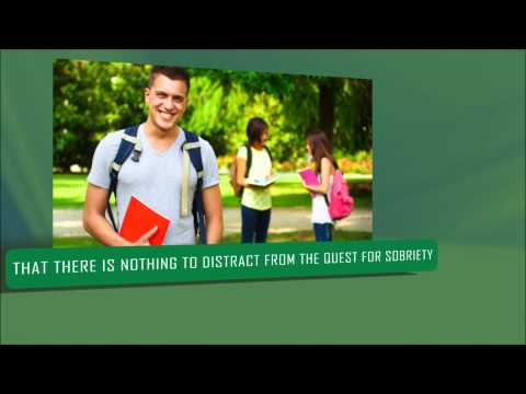 Drug Rehab | Alcoholism Treatment Chenango