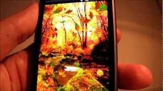 video-thumbnail