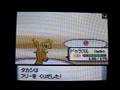 モスラ 第13回 マイナー・中堅ポケモン中心で対戦する大会 第一回戦二組目 アラン vs タカシ