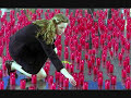 Video 6