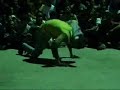 Trailer bboy ZerO3