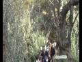 Settimana della Cultura Ag.wmv