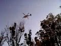 Griffith Park Fire 4 - 08/16/2008