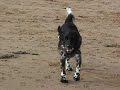 Roanhead beach 2