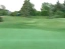 Golf shot amazing spin (its above average)