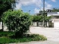 docomentario da varzea 11 tomgames