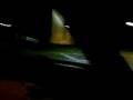 videos de Megane Rev