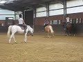 Galopp mit Stella