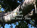 scaroborough fair fantasy   paul fried flute