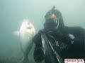 pesca submarina pescando con perez(trailer)